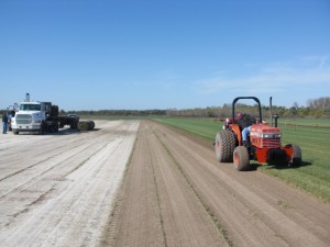 sod farm 